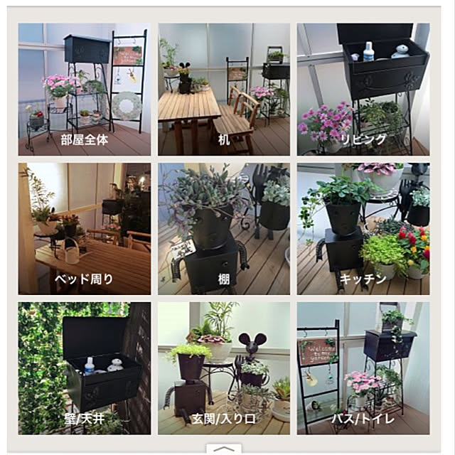 collonさんの実例写真