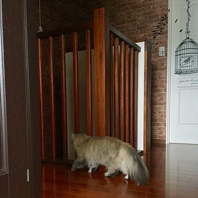 butachanさんの実例写真