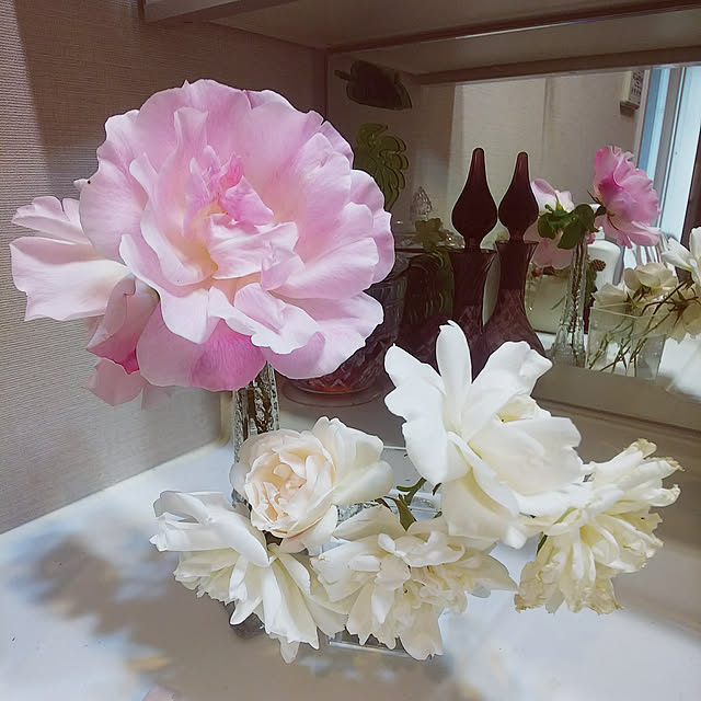hiromimiさんの実例写真