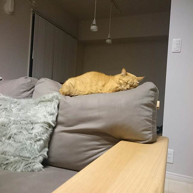 hanacocoさんの実例写真