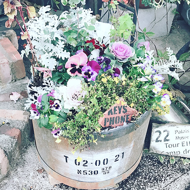 yomogichanさんの実例写真