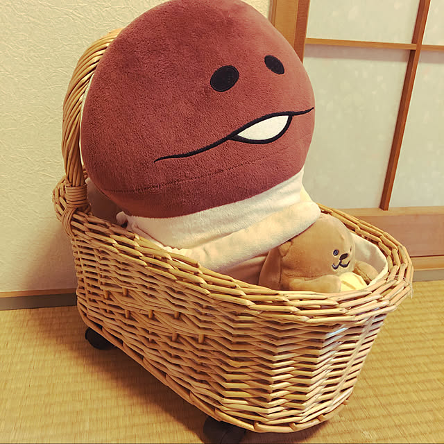 sucoriさんの実例写真