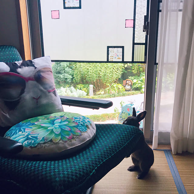portulacaさんの実例写真