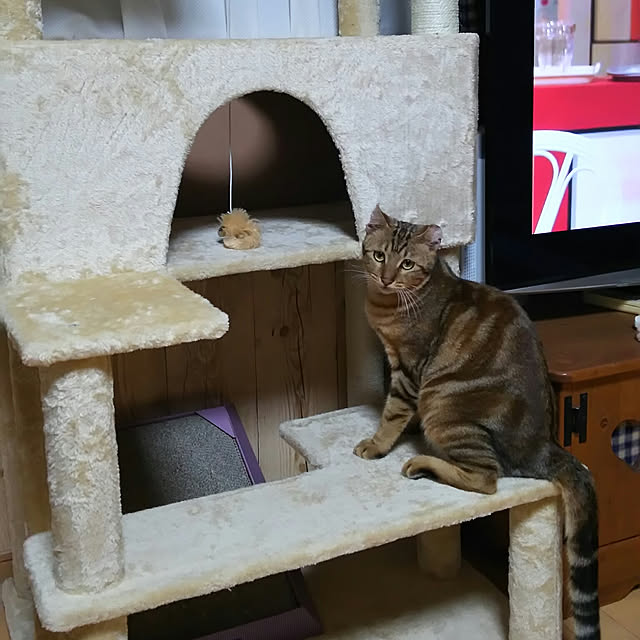 mokaさんの実例写真
