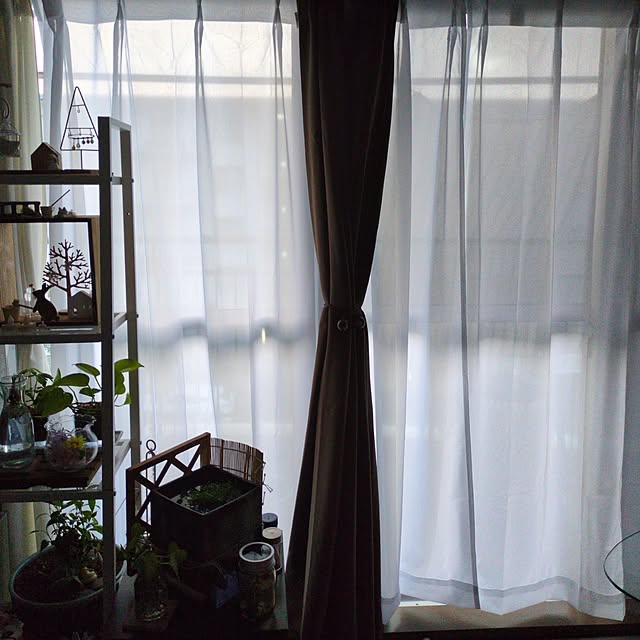 mi-saさんの部屋