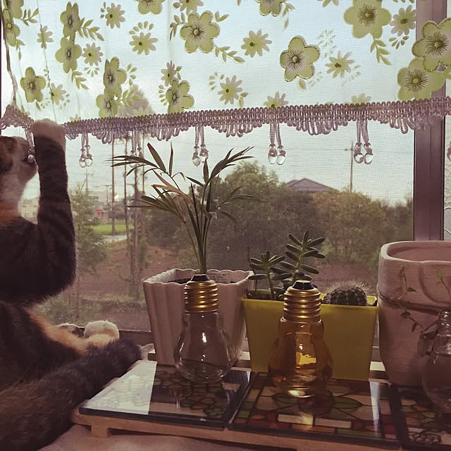 greenさんの実例写真