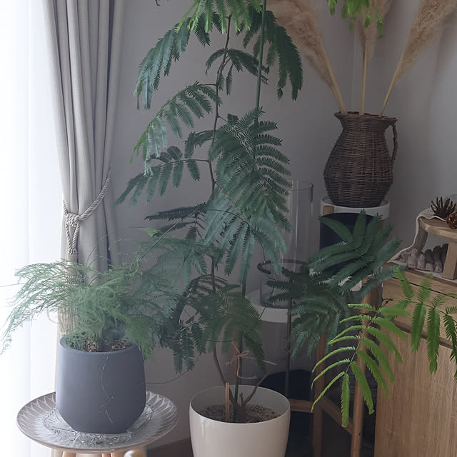 Summerさんの部屋