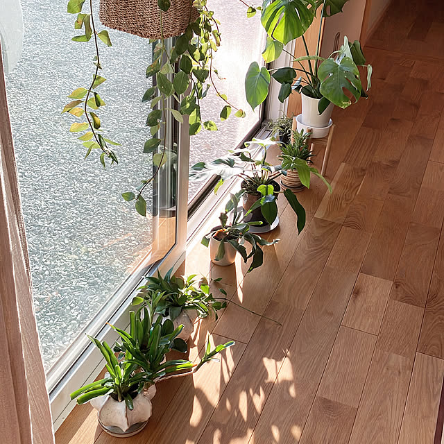 hira_muji_mihiさんの実例写真