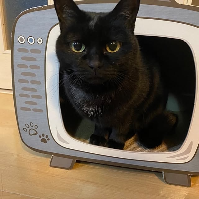 suyasuyaさんの部屋