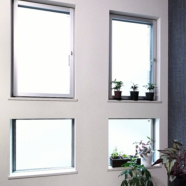 tamaさんの実例写真