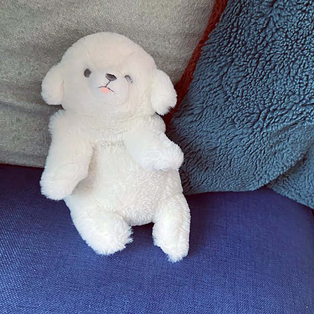 hikaruuさんの部屋