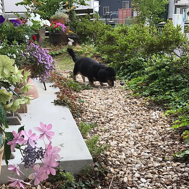 kko1208さんの実例写真