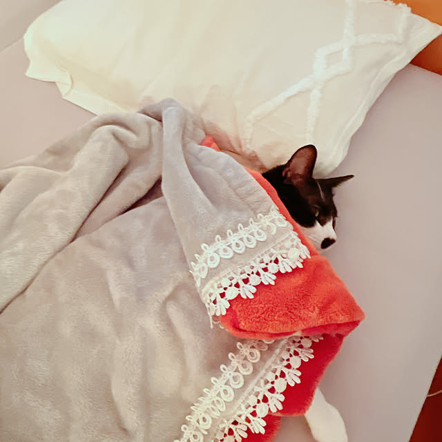 moolさんの部屋