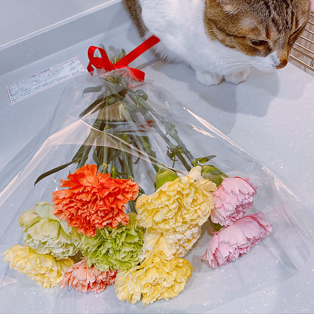 Rubyさんの実例写真