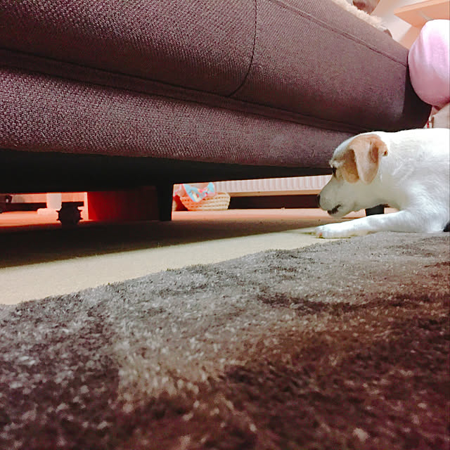 nanaさんの実例写真