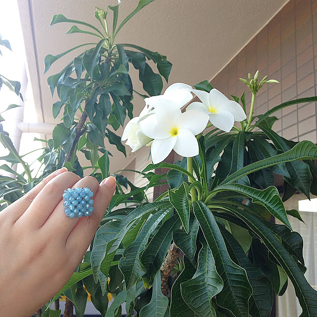 reko639さんの実例写真