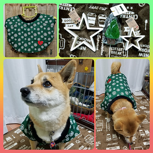 nanaさんの実例写真