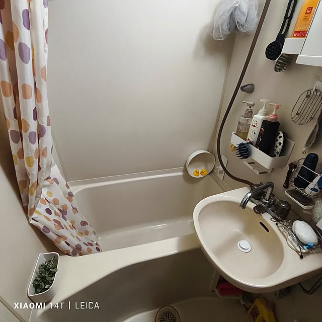 ca50meさんの実例写真