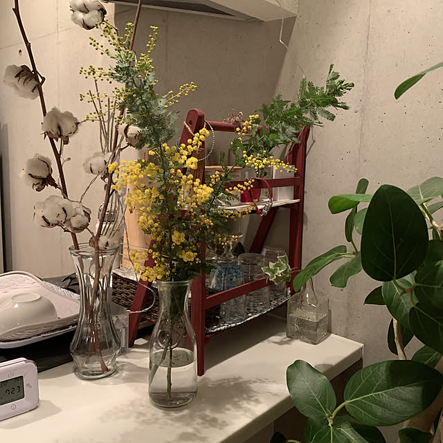 olive18さんの実例写真