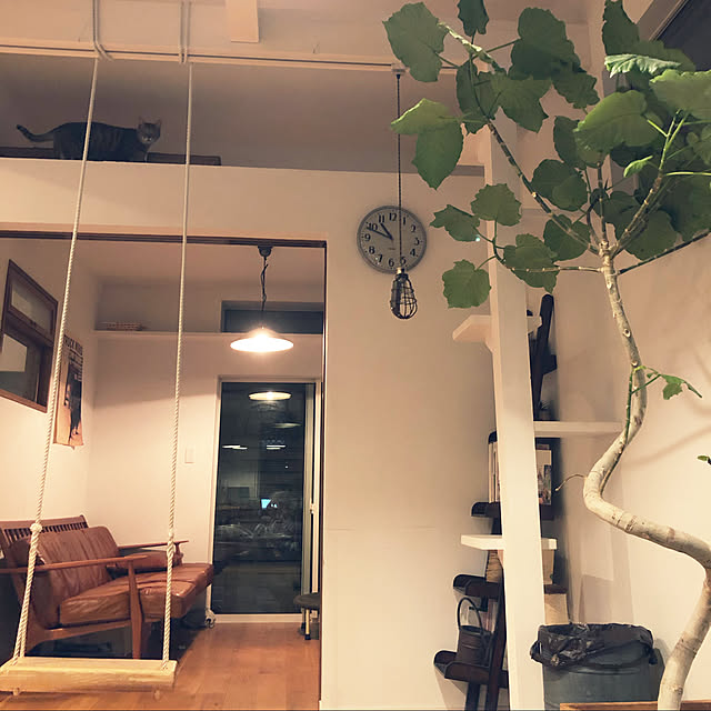 coroさんの実例写真