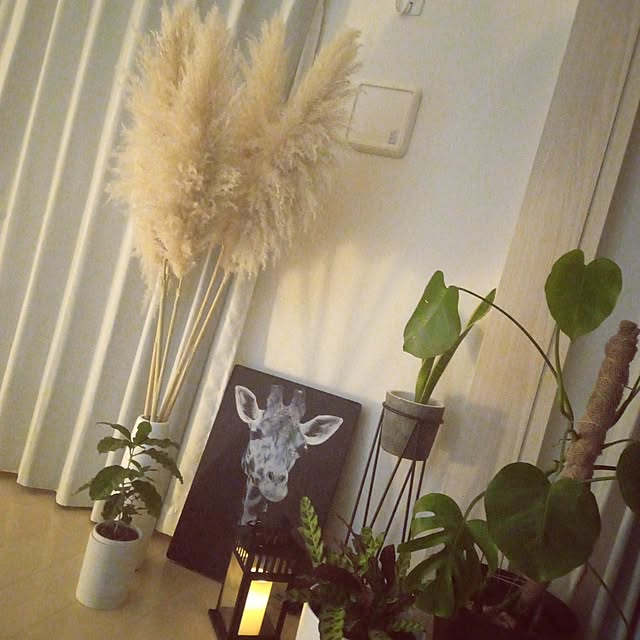 sachiy028さんの実例写真