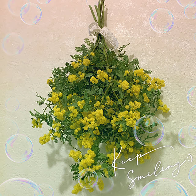 eshinobumさんの実例写真