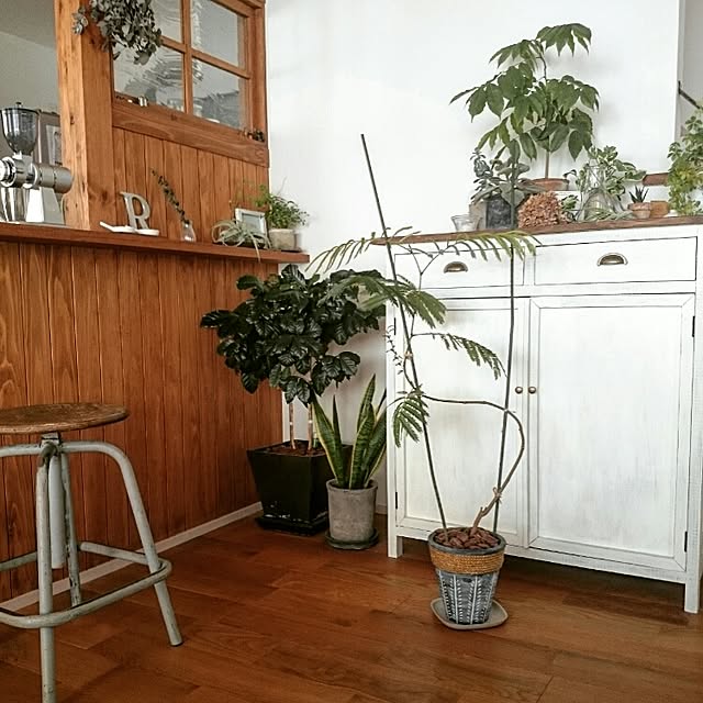 bibi.karuさんの実例写真