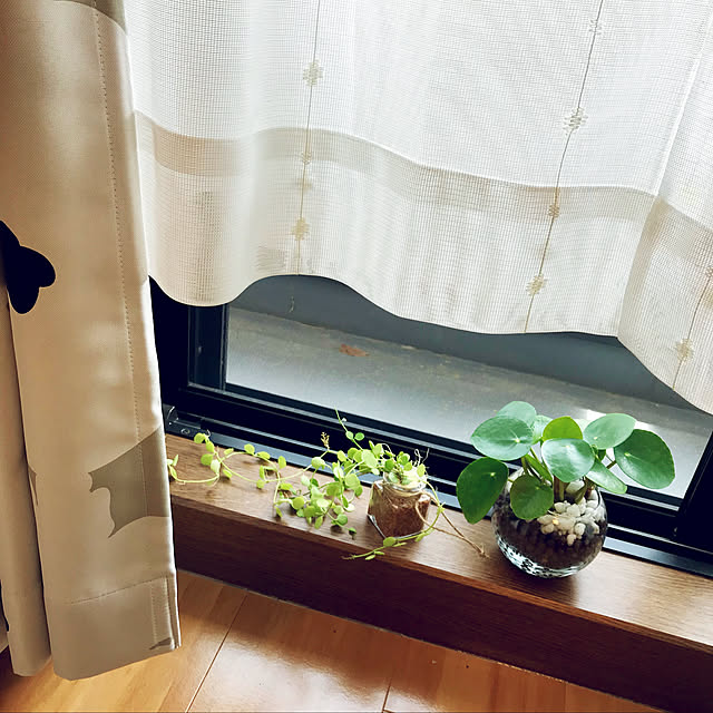 taoさんの実例写真