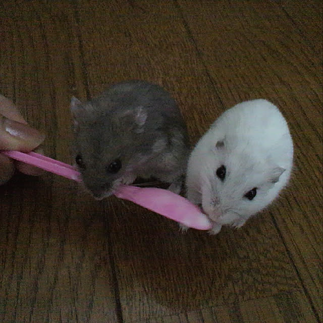 Yuさんの実例写真