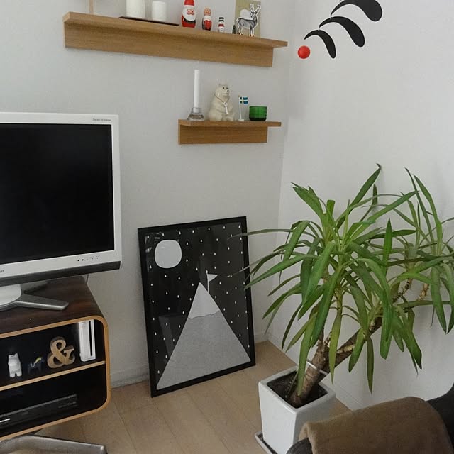 mamecoroさんの実例写真