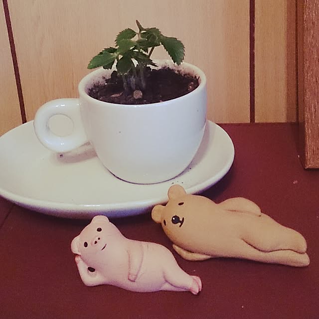 amaki35さんの実例写真