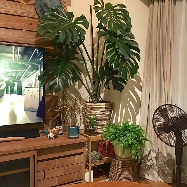 ikkaさんの実例写真
