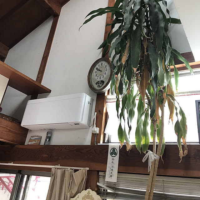 risora/壁/天井のインテリア実例 - 2019-07-16 09:52:11
