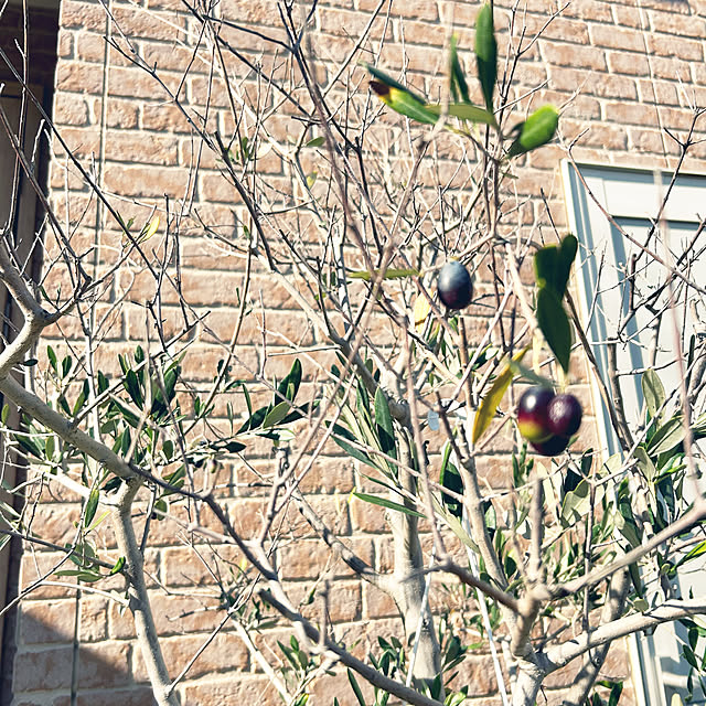 asasouさんの部屋