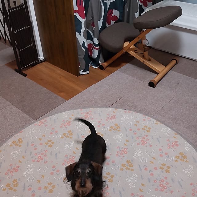 chocococoaさんの部屋