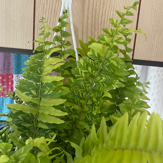 prelumoさんの部屋