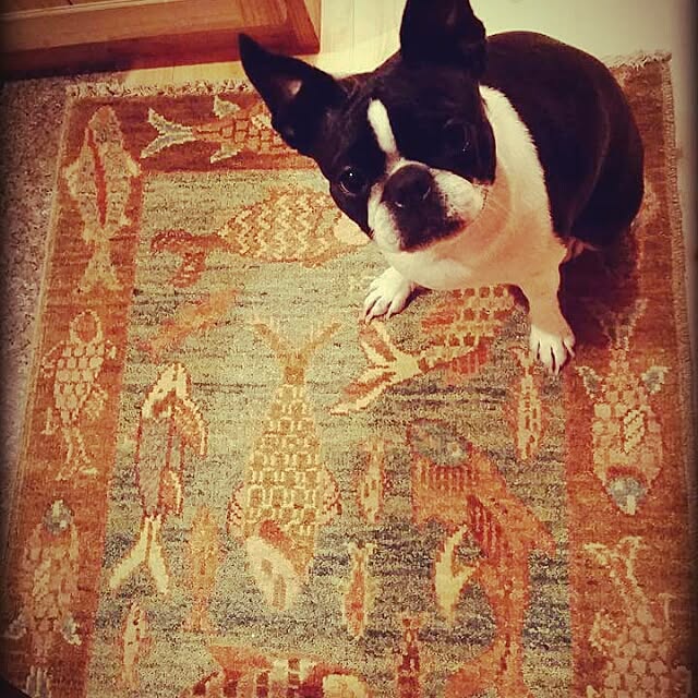 tetardbunさんの実例写真