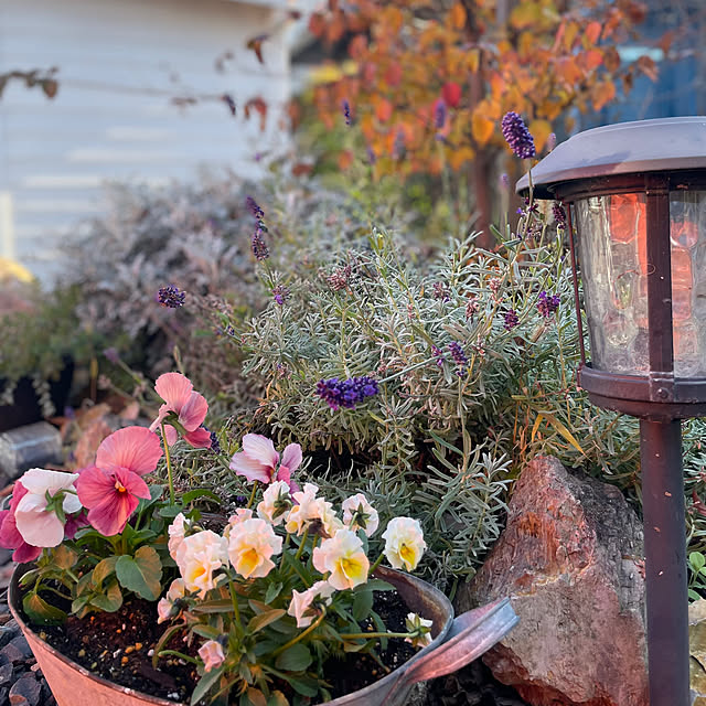 zmzmさんの実例写真