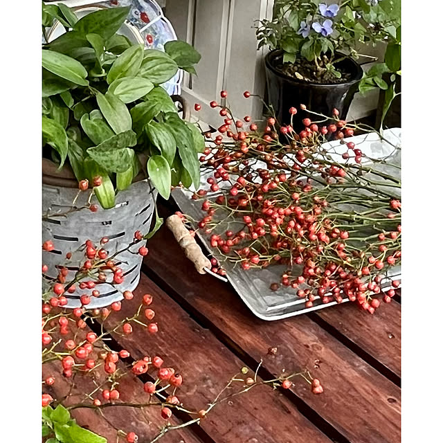 cotaさんの部屋