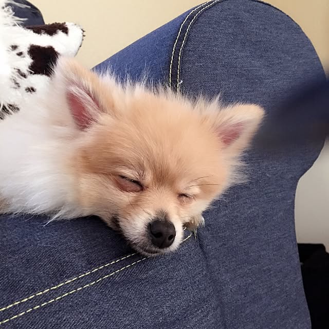 tomomoさんの実例写真