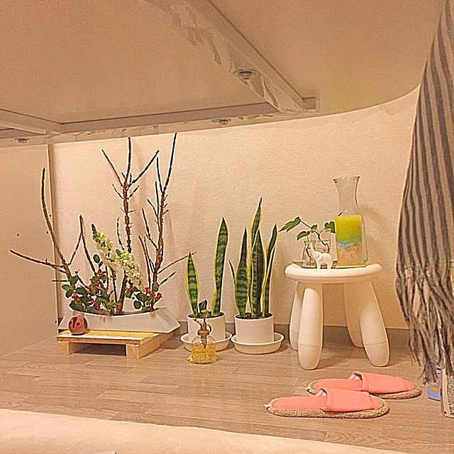 Yuukaさんの実例写真