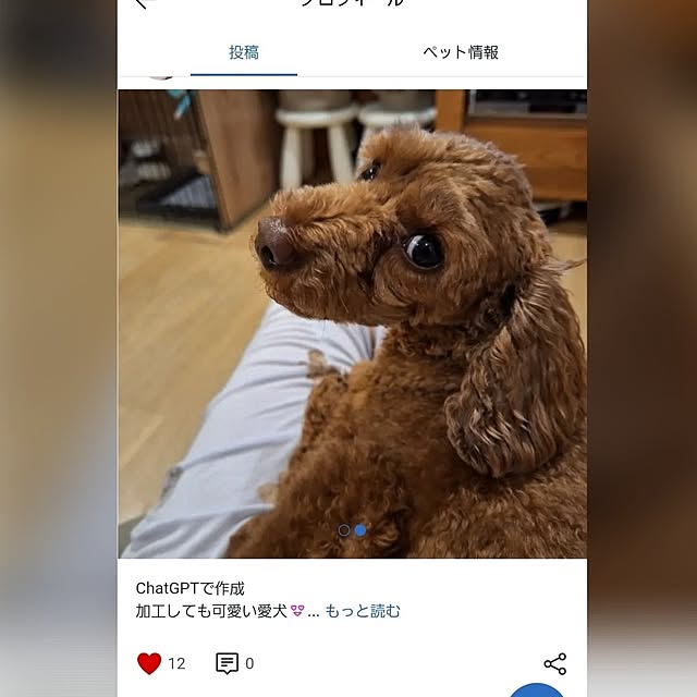 Blancheさんの実例写真