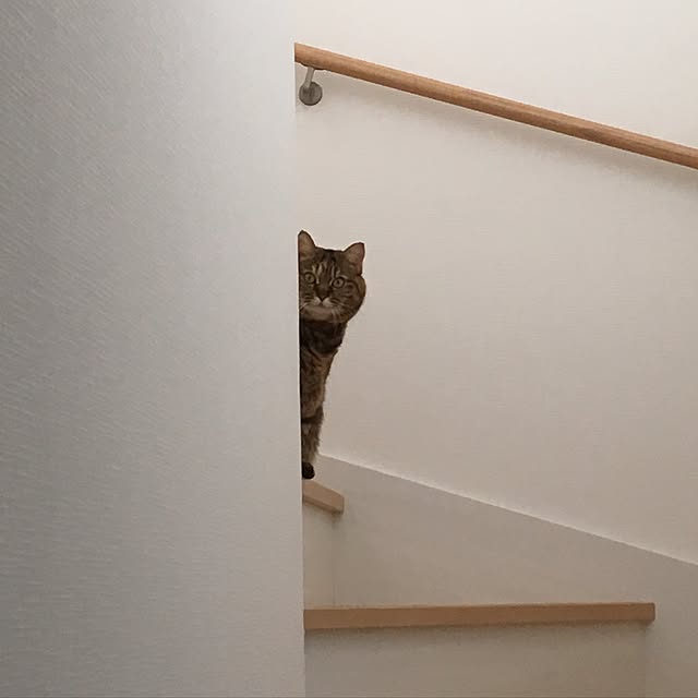 kuu511さんの実例写真