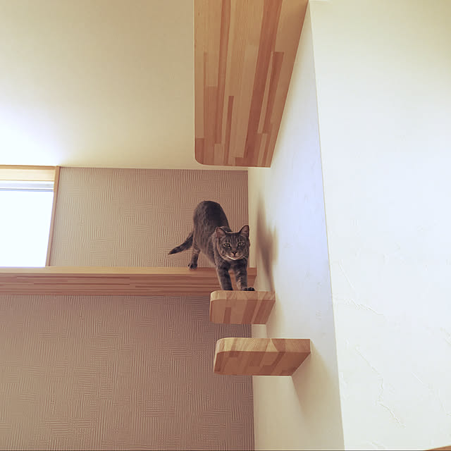 kichiさんの実例写真