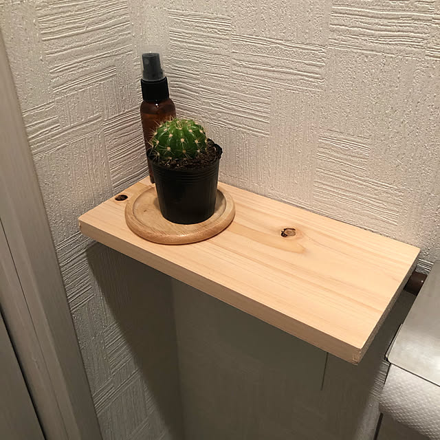 DIY/セリア/100均/観葉植物/バス/トイレのインテリア実例 - 2021-02-27 22:05:32