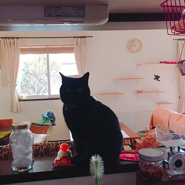 nanaさんの実例写真