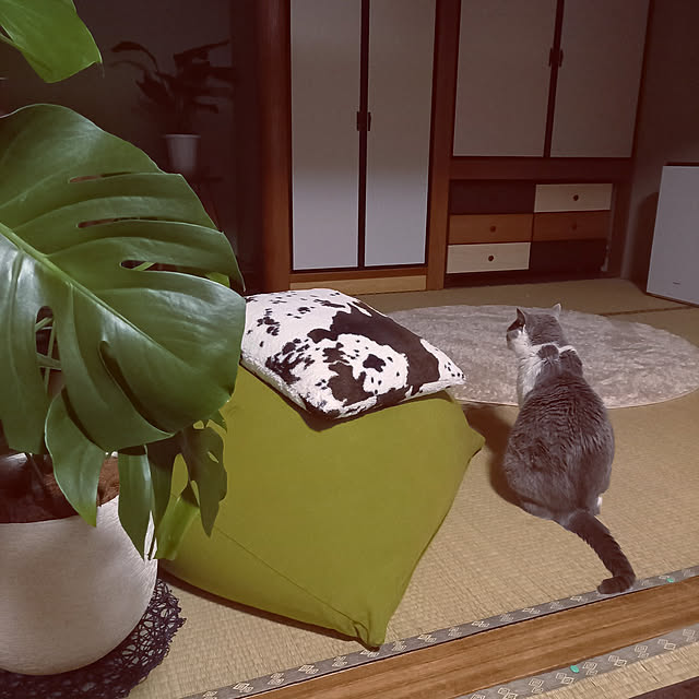 rhuさんの実例写真