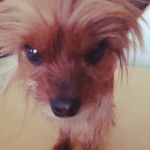 hys823さんの実例写真