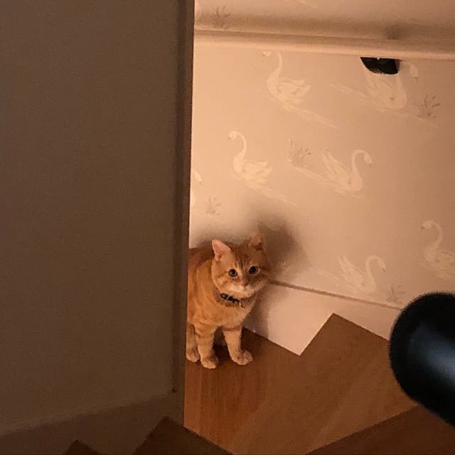 yunさんの実例写真