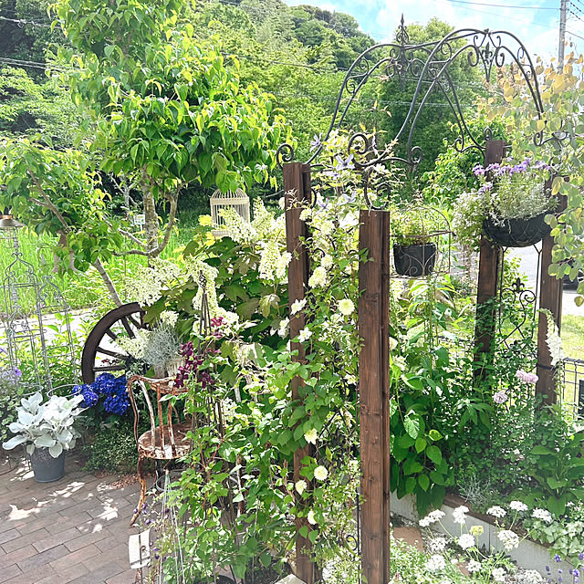 soraさんの部屋